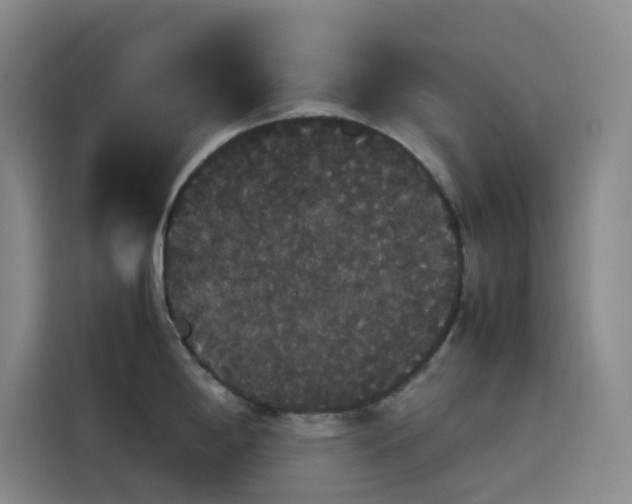 X0000116121198200911231209