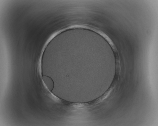 X0000116121199200911231209