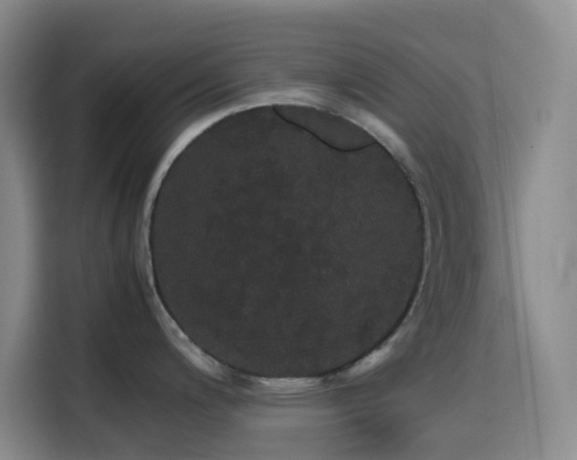 X0000116121200200911231209