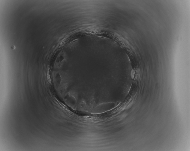 X0000116121202200911231208