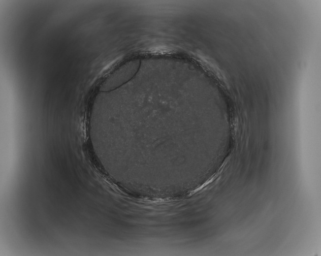 X0000116121205200911231208