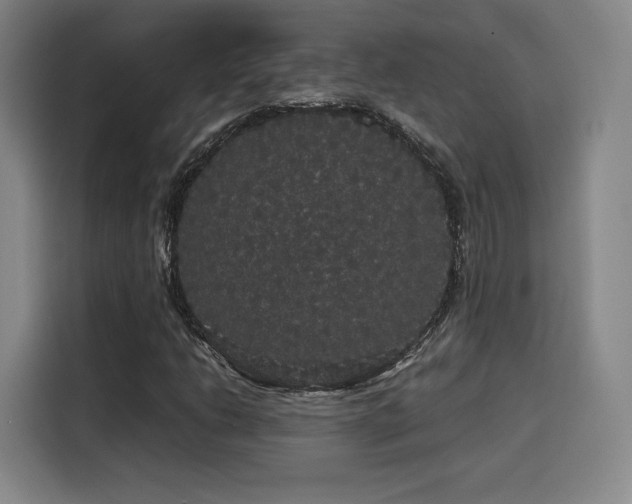 X0000116121206200911231208