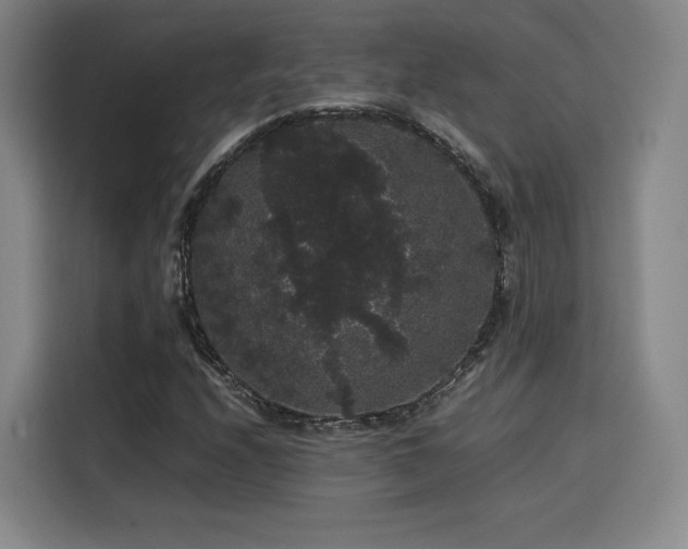 X0000116121208200911231208