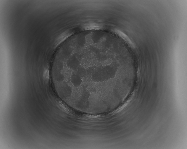 X0000116121209200911231208