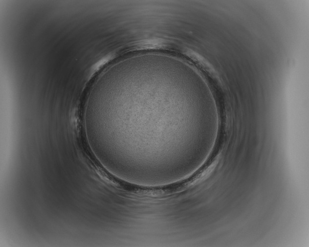 X0000116121210200911231208