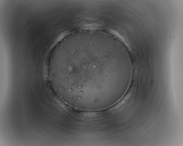 X0000116121211200911231208