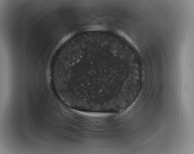 X0000116121213200911231208