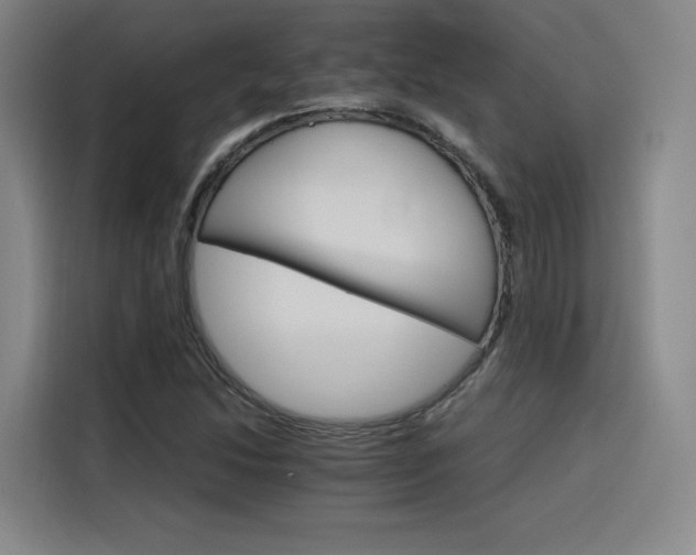 X0000116121214200911231208