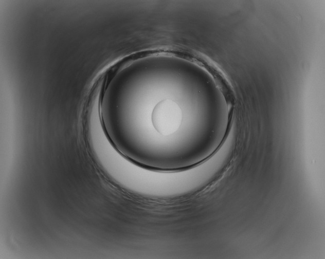 X0000116121215200911231208