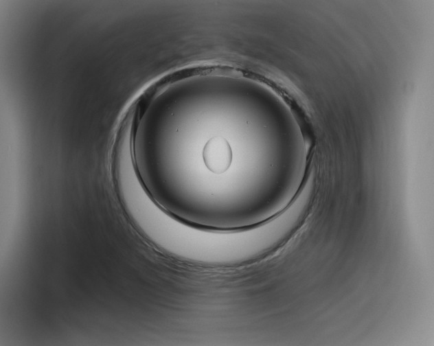 X0000116121216200911231208