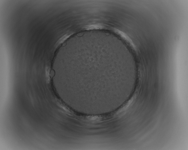 X0000116121217200911231208