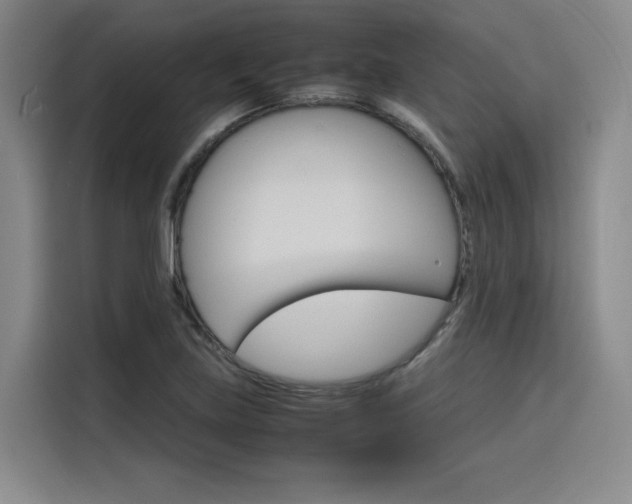 X0000116121219200911231208