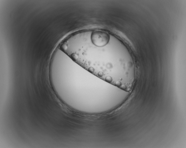 X0000116121220200911231208