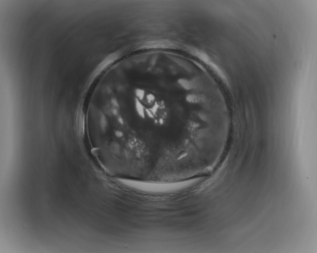 X0000116121221200911231208