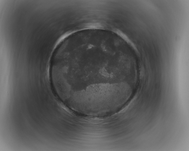 X0000116121222200911231208