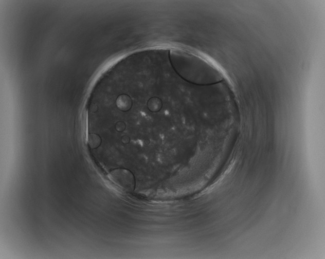 X0000116121223200911231208