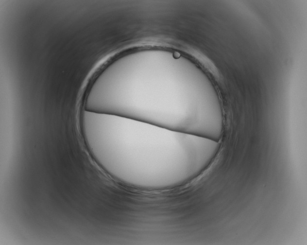 X0000116121224200911231208