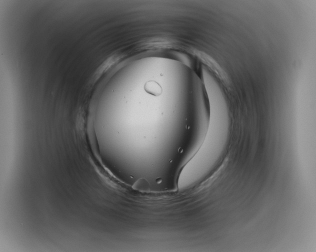 X0000116121225200911231208