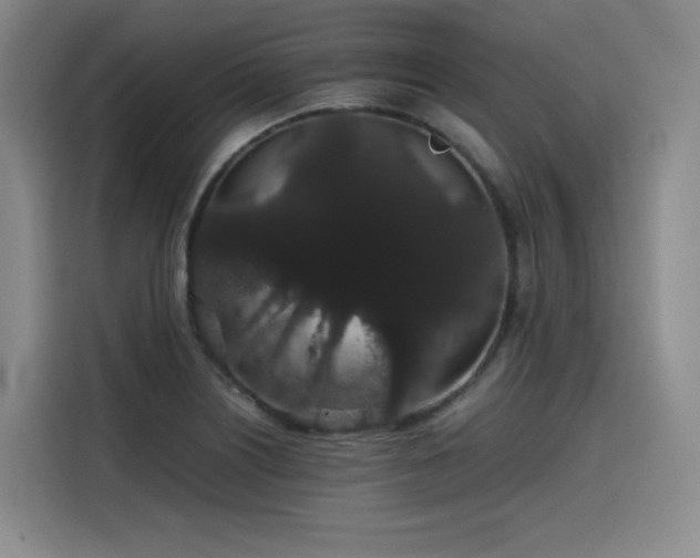 X0000116121226200911231208