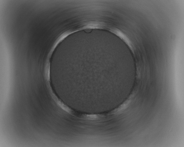 X0000116121227200911231208