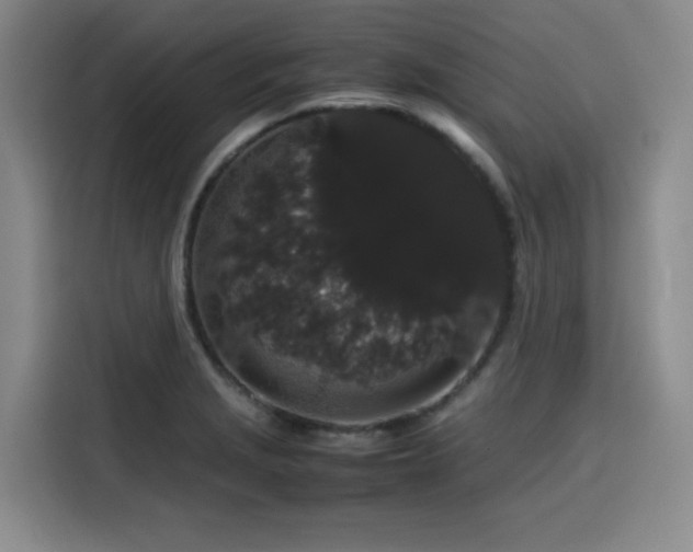 X0000116121229200911231208