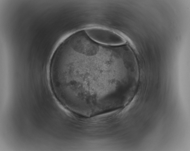 X0000116121231200911231208