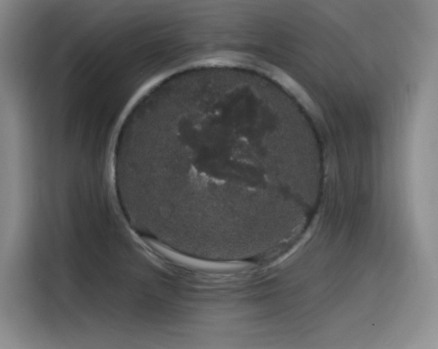 X0000116121232200911231208