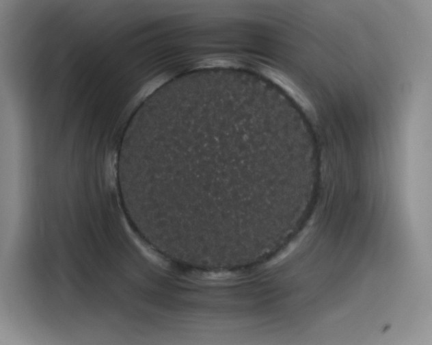 X0000116121233200911231208