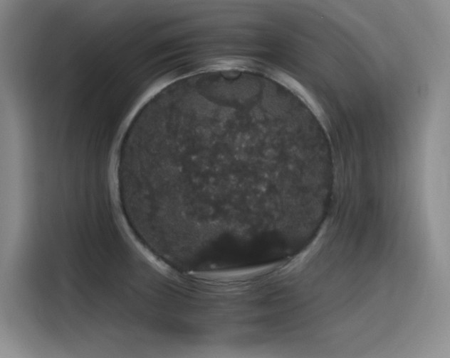 X0000116121235200911231208