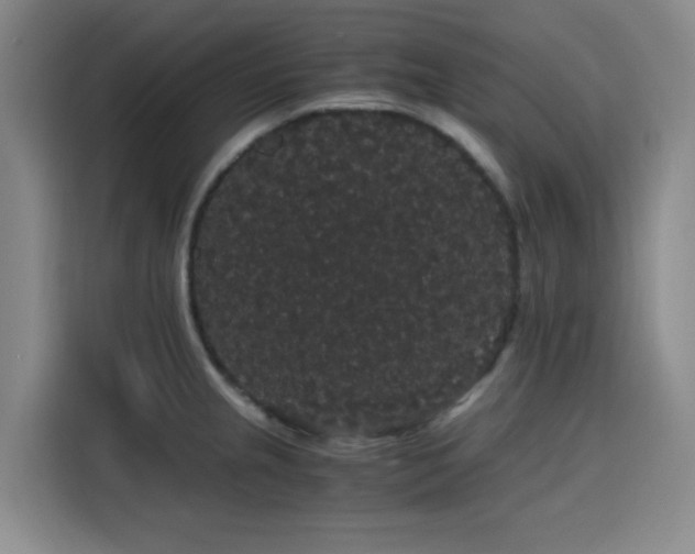 X0000116121237200911231209