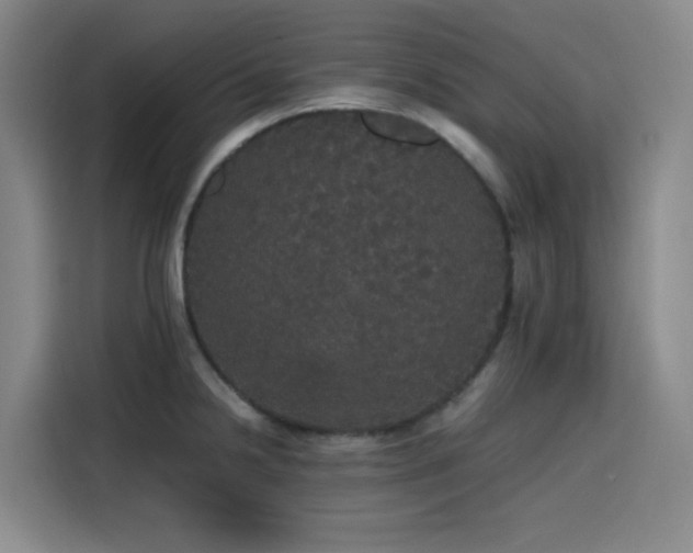 X0000116121238200911231209