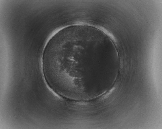 X0000116121239200911231209