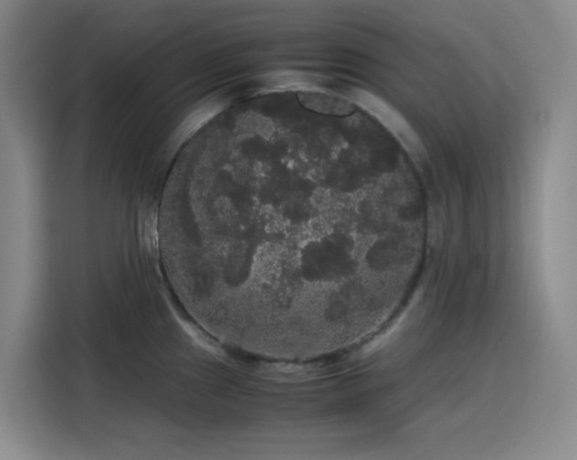 X0000116121241200911231209