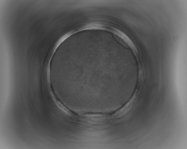 X0000116121242200911231209