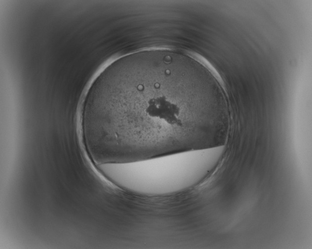 X0000116121243200911231209