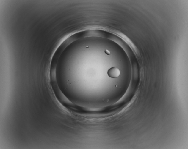 X0000116121244200911231209