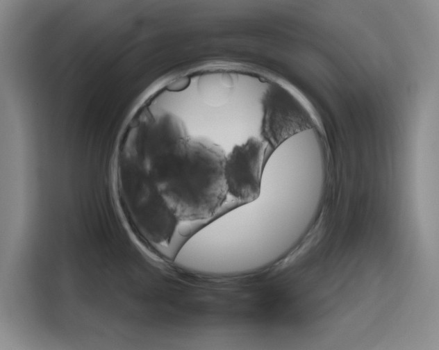 X0000116121245200911231209