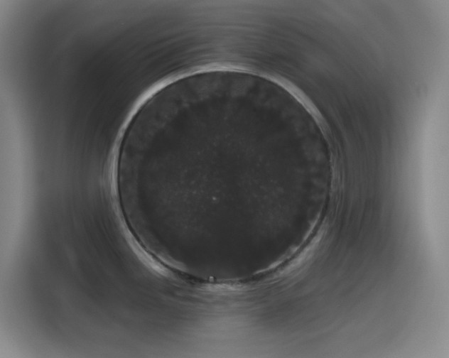 X0000116121246200911231209