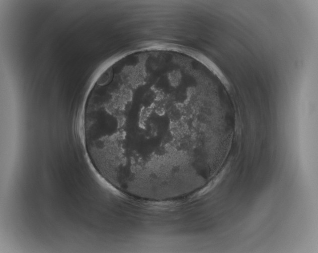 X0000116121247200911231209