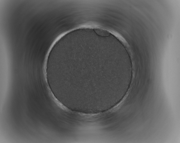 X0000116121248200911231209