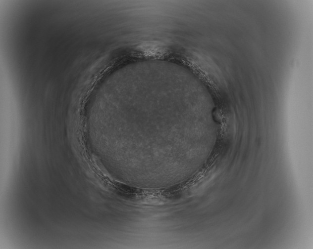 X0000116121249200911231208