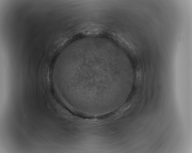 X0000116121250200911231208