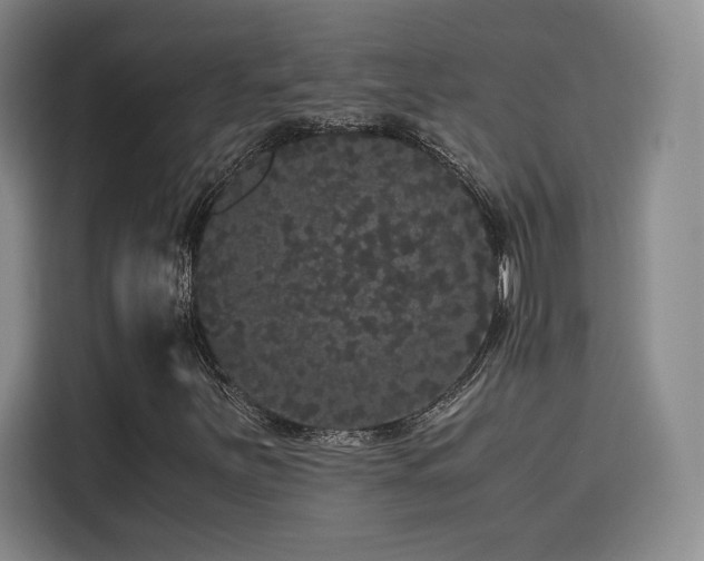 X0000116121251200911231208