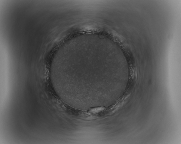 X0000116121253200911231208