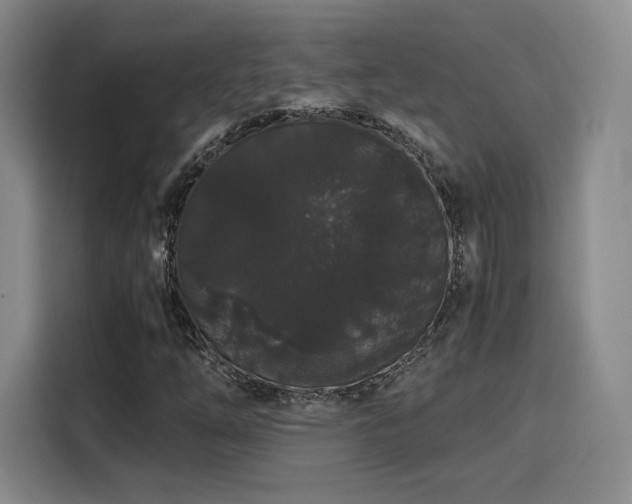 X0000116121254200911231208