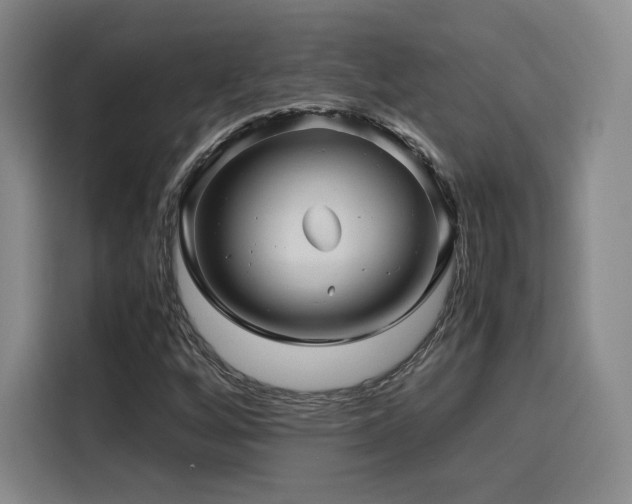 X0000116121256200911231208