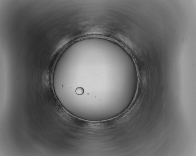 X0000116121258200911231208