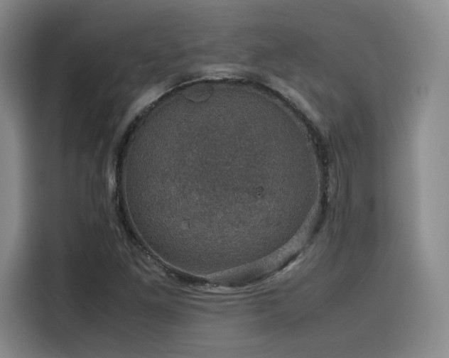 X0000116121261200911231208