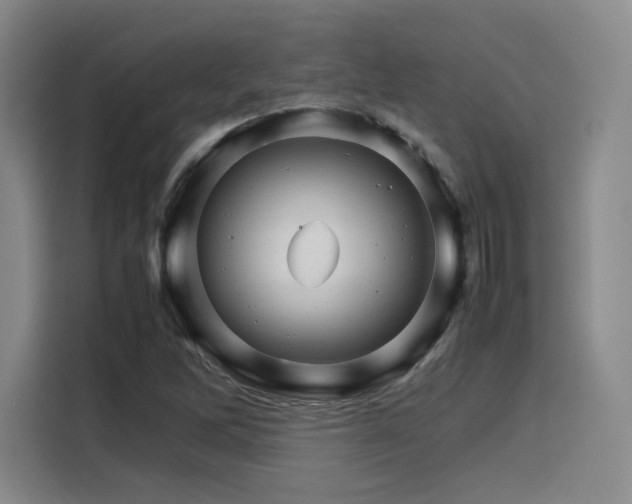 X0000116121262200911231208