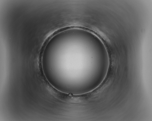 X0000116121264200911231208